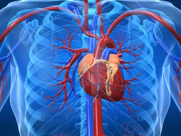 Vježbe za povećanje potencije su kontraindicirane za srčana oboljenja