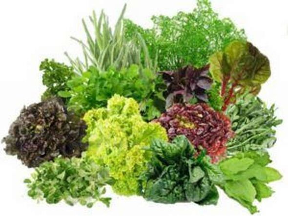 B vitamini